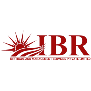 IBR Logo