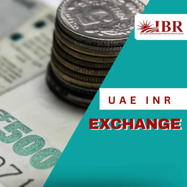 Your Guide to UAE INR Exchange