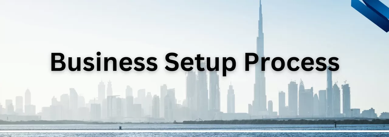 Business Setup Process